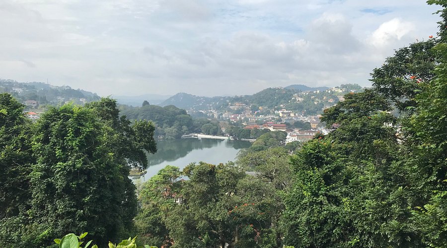 view from the sanctuary